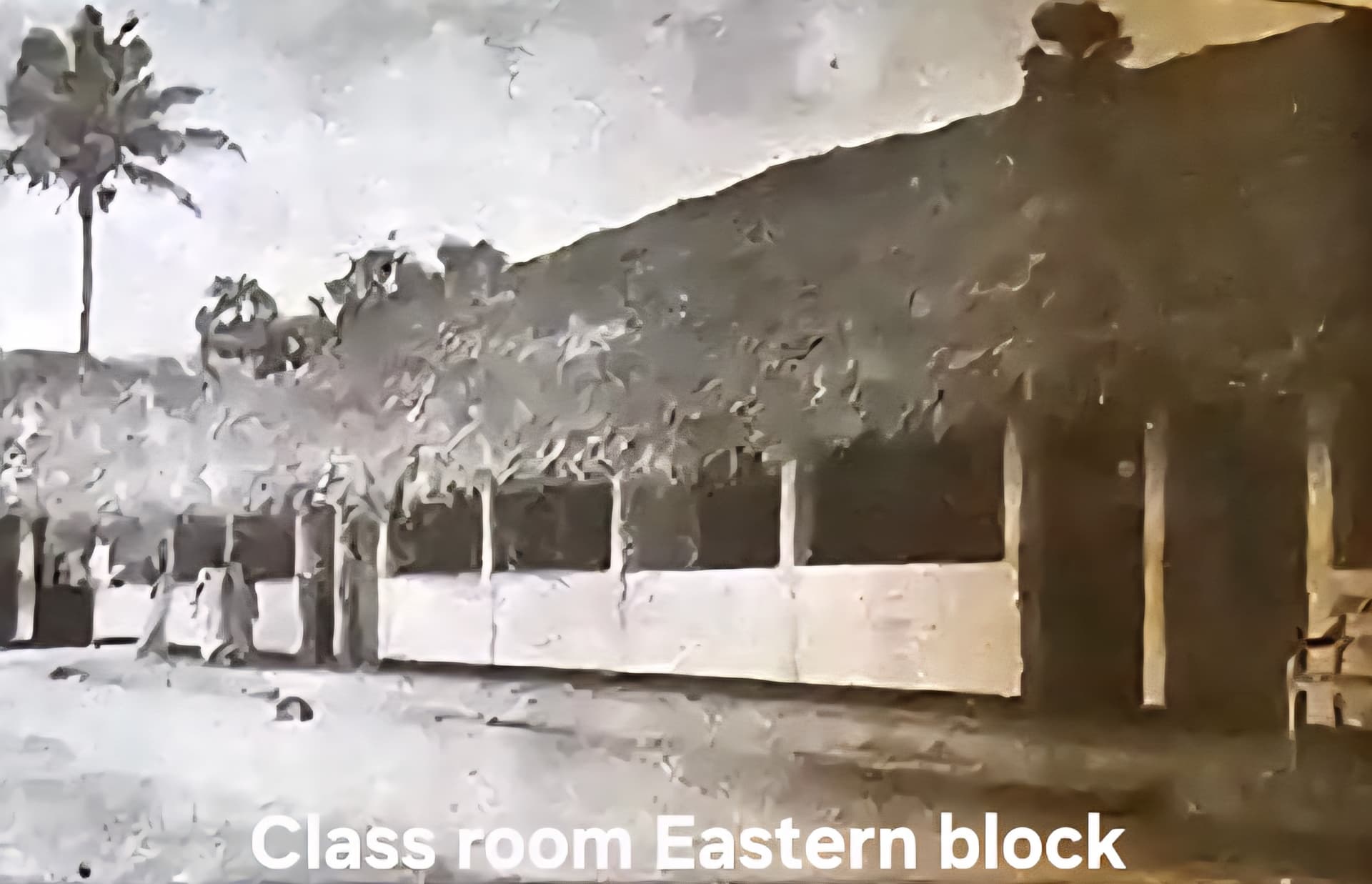 Jaffna Hindu Ladies College photo 27